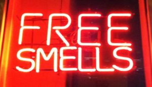 neon-free-smells-mgdc2a9